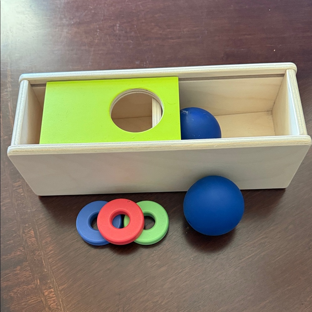 Colorful Wooden Learning Toy Set with Weighted balls